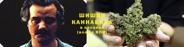 СК Медногорск