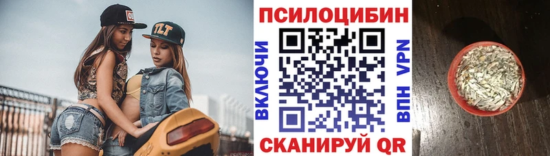 купить наркотики сайты Благовещенск Галлюциногенные грибы Psilocybine cubensis